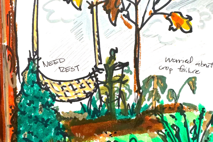 Draw the Curious Garden