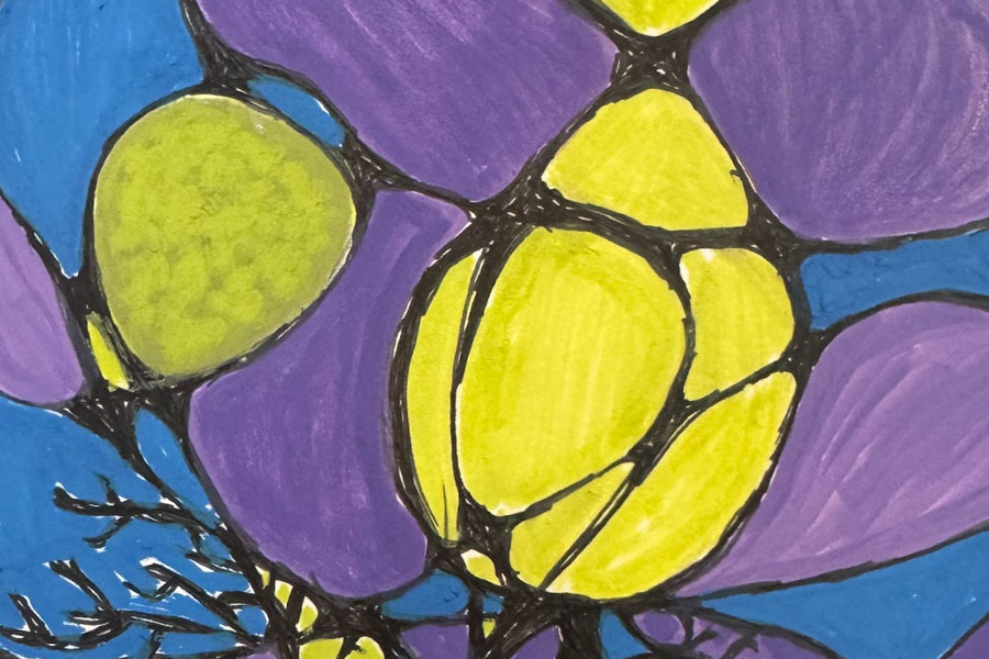 Neurographica Drawing